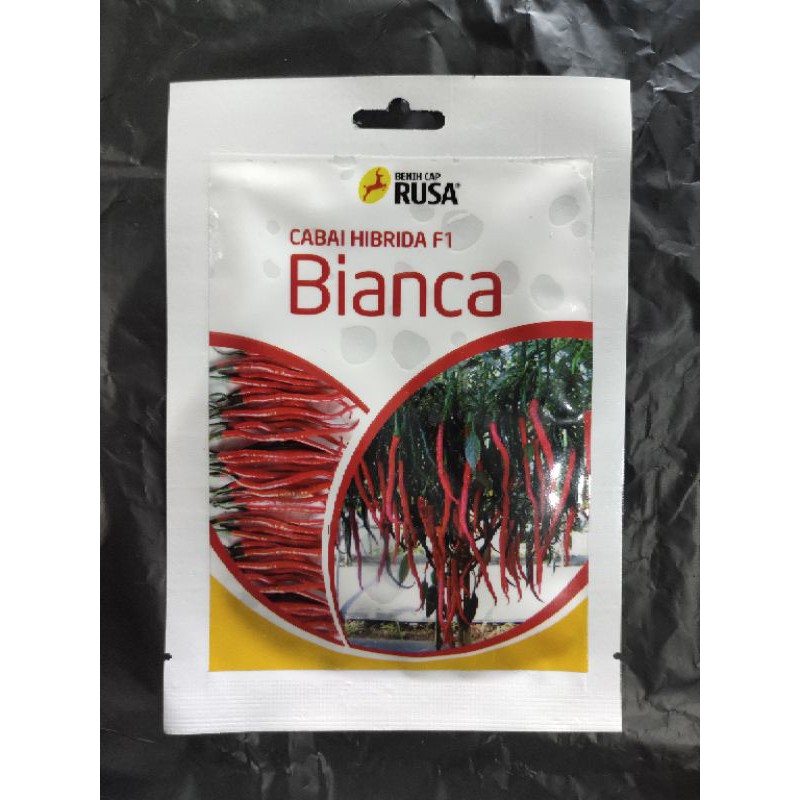 BENIH CABAI BIANCA F1/ CABAI KERITING BIANCA/CAP RUSA