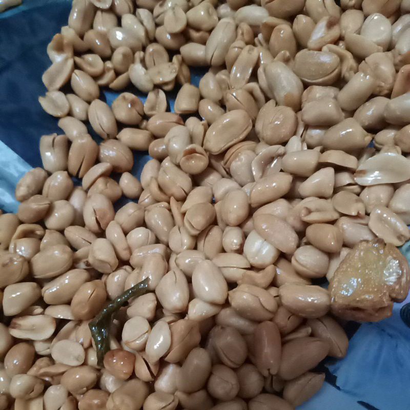 

Kacang Tojen/Kacang Goreng
