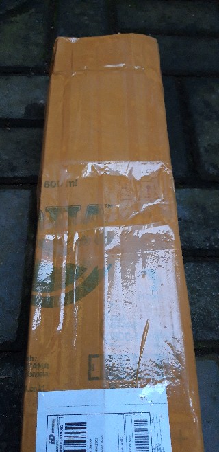 Aglaonema / Aglonema Lipstick / Siam Aurora