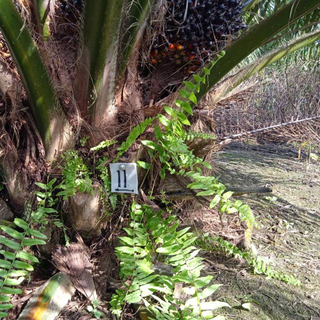 2487fi_0z2jyug6mnajetv7eenji