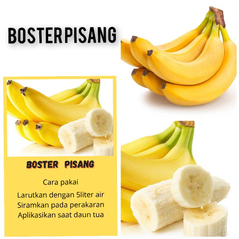 pupuk pohon pisang pupuk buah pupuk tanaman hias pupuk sayuran boster tanaman boster buah boster say