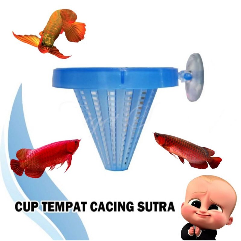 CUP tempat makan ikan tempat wadah cacing sutra tempat cacing sutra