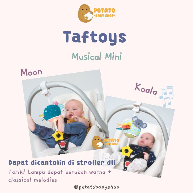 TafToys Musical Koala - Mini Moon Taf toys - Mainan Anak Bayi Musik Lagu