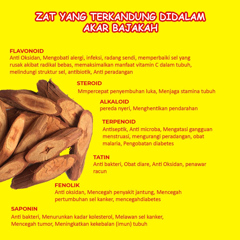 bajaka Asli Kalimantan Sertifikat 100 gr Akar bajakah Kuning herbal kanker