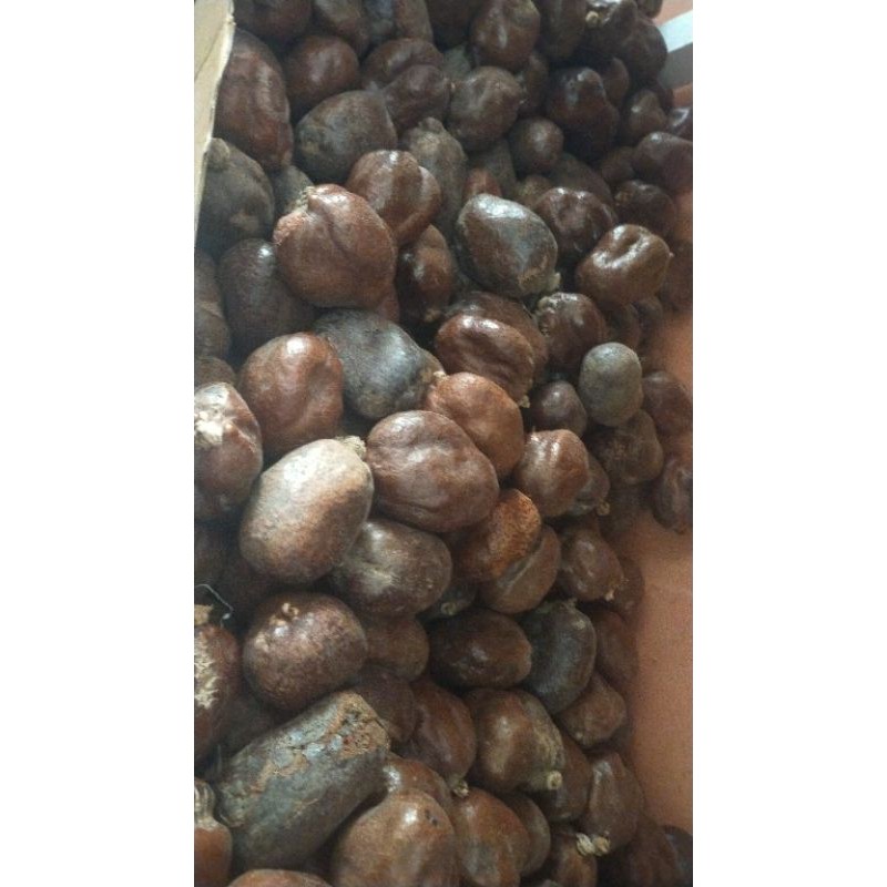 

buah Zuriat madinah 1kg