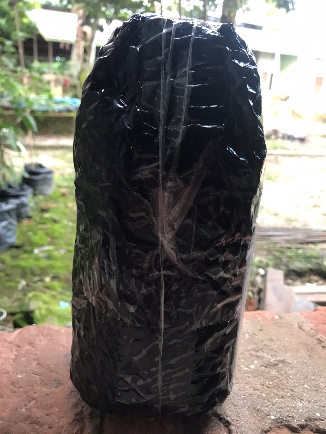 Insektisida Stadium 18ec 1l Untuk Trips, Wereng, Kutu Daun