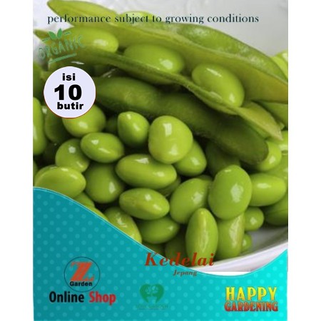 Benih Ungul Edamame Kacang Kedelai Jepang