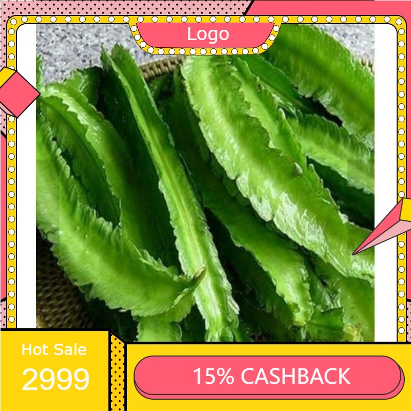 

RENGKEK SURABAYA - Kecipir 250gr