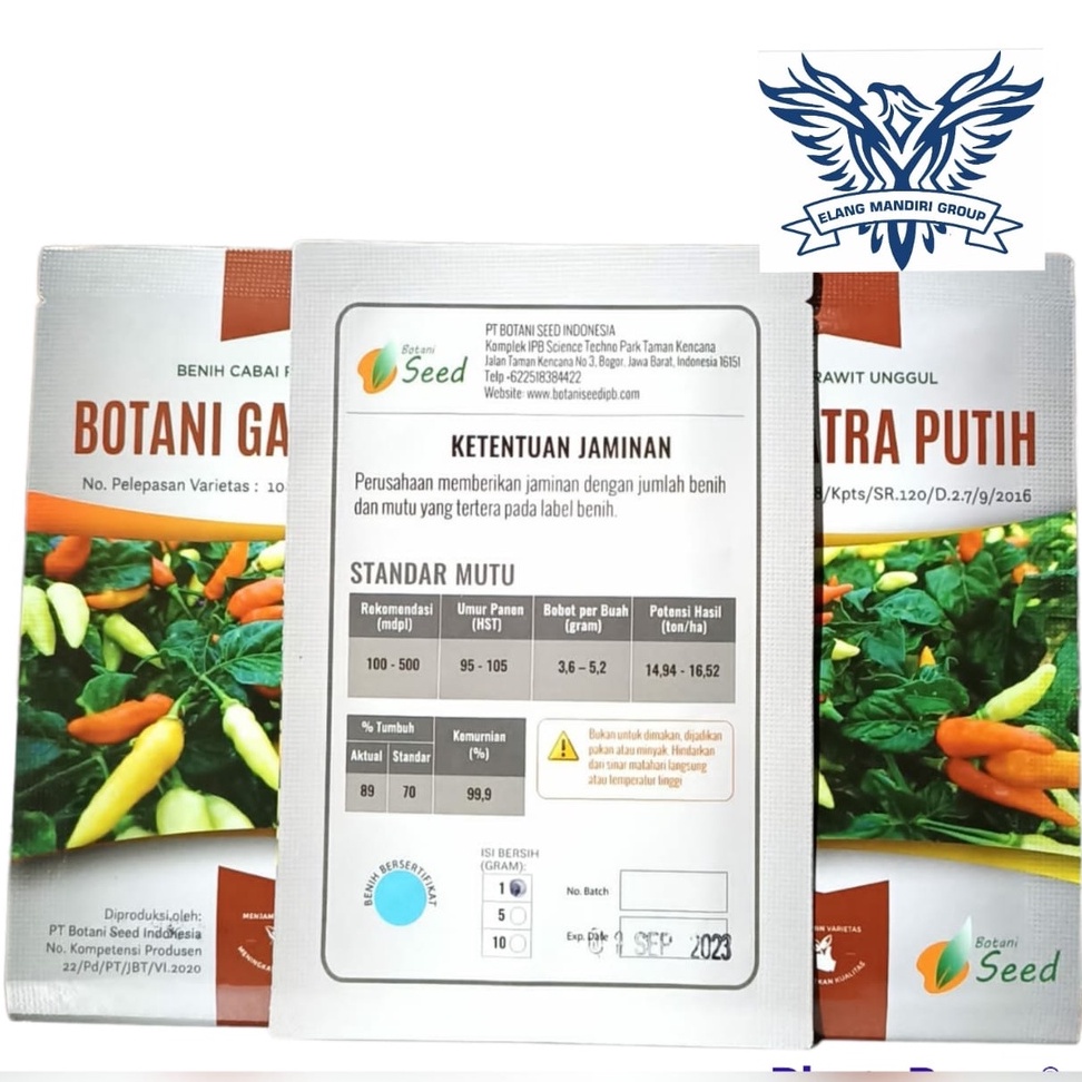 Benih Bibit Cabe  cabai Gatra Putih 1 Gr 216 Butir Botani seed