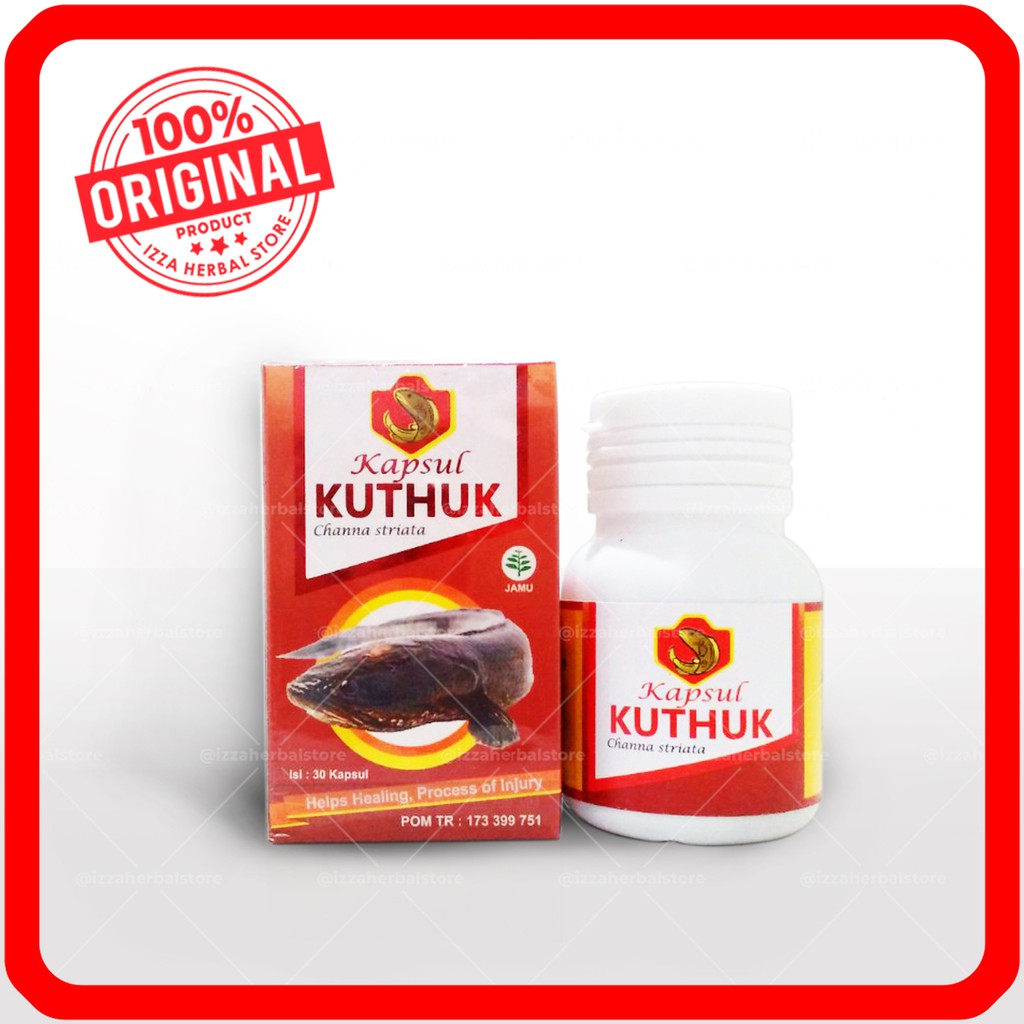 KUTHUK KAPSUL KUTUK PREMIUM Plus Ikan Kutuk Gabus/Albumin untuk Pemulihan Luka Jahitan Operasi