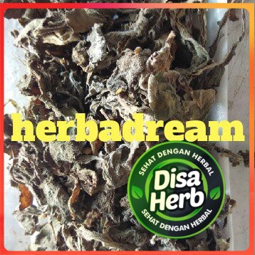 

DAUN DEWA / SAMSIT KERING 250 GRAM - Gynura Divaricata - MURNI - JSR - REMPAH - PREMIUM QUALITY