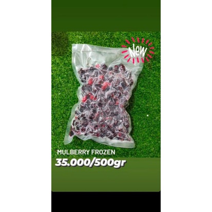 

MULBERRY FROZEN