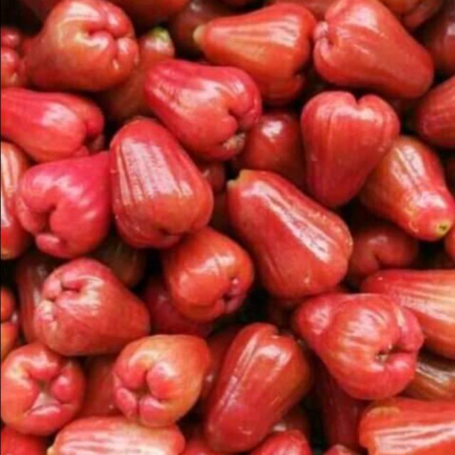 

Jambu citra 1 kg