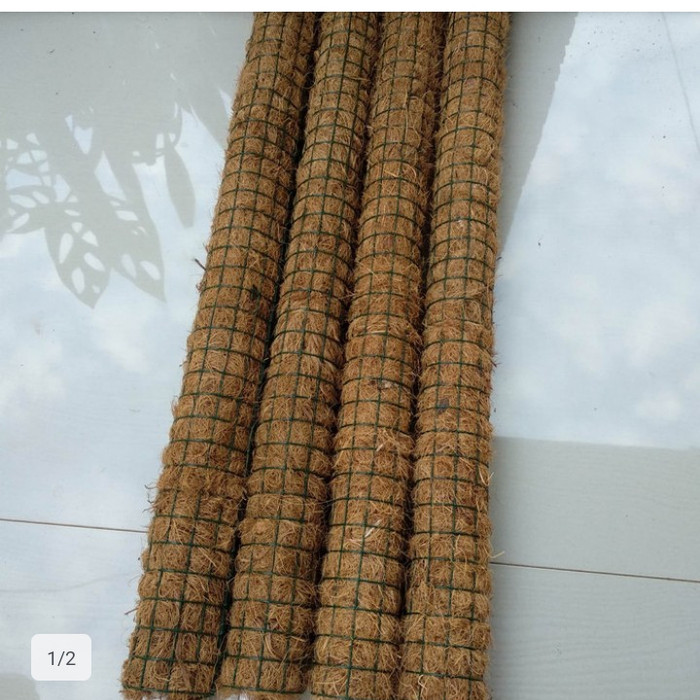 TURUS PENYANGGAH POHONAN RAMBAT 50cm
