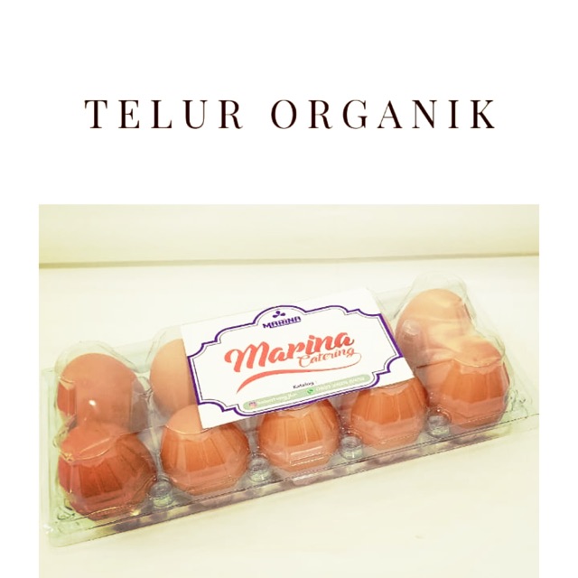 

Telur organik