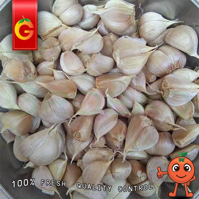 

SAYUR BAWANG PUTIH KATING FRESH 1 KG