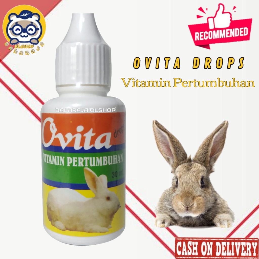 Vitamin Penambah Nafsu Makan Dan Penggemuk Badan Kelinci - Ovita Kelinci