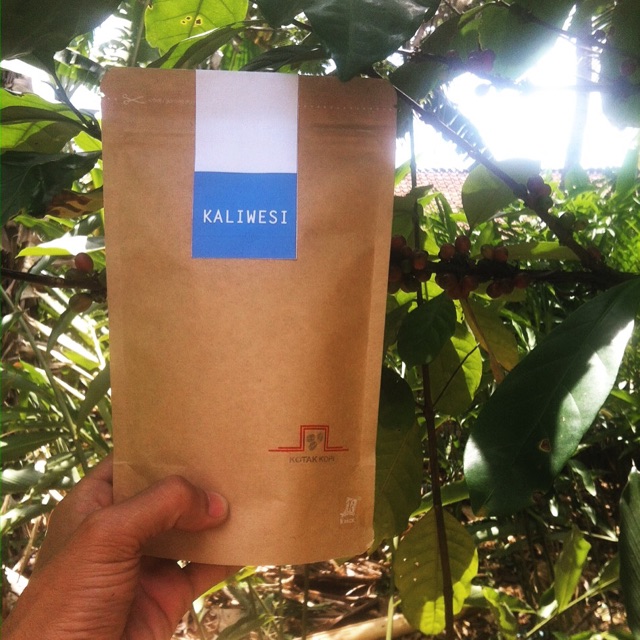 

Kaliwesi Singorojo (Excelsa) 250gr
