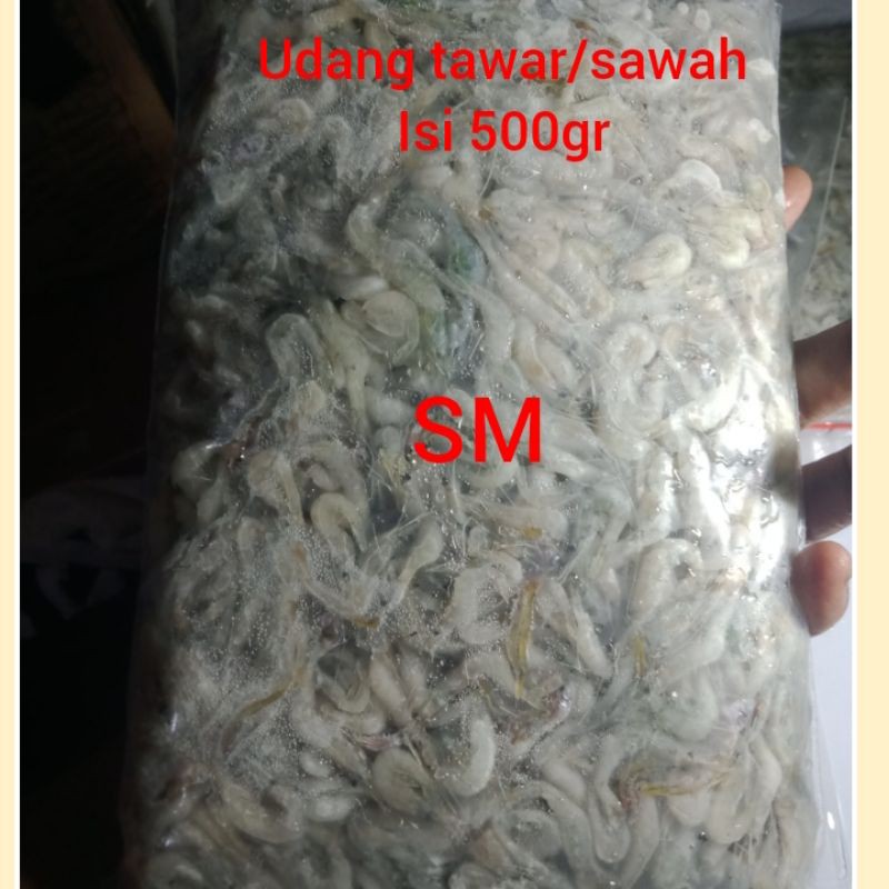 

udang tawar beku size kecil 500gr