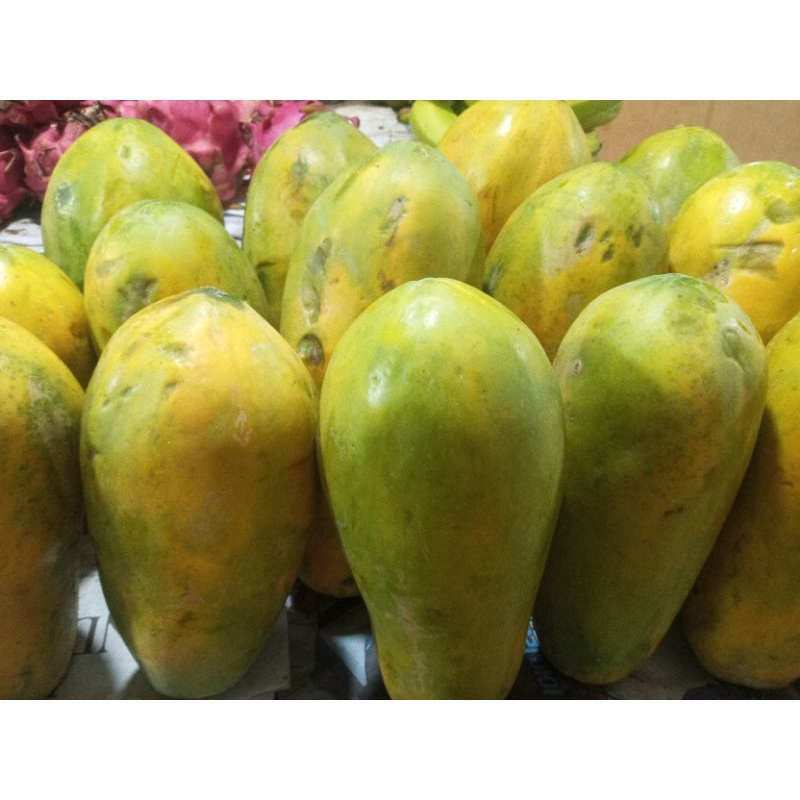 

Pepaya California 1 buah