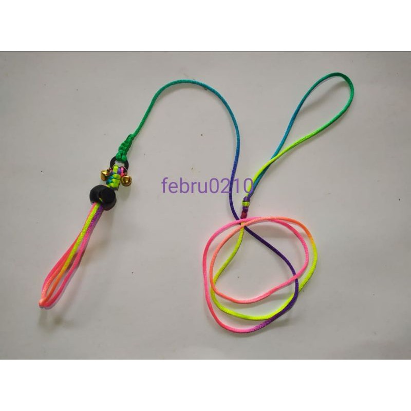 Harnes Hernes Tupai Bajing Sugar Glinder Hamster