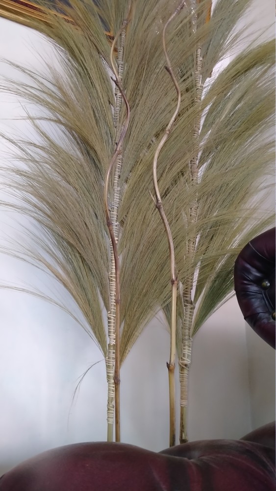 Paket Termurah Homedecor Rayung Rustic Dekorasi Rayung Kering Bunga Rayung Panjang Rayung Natural