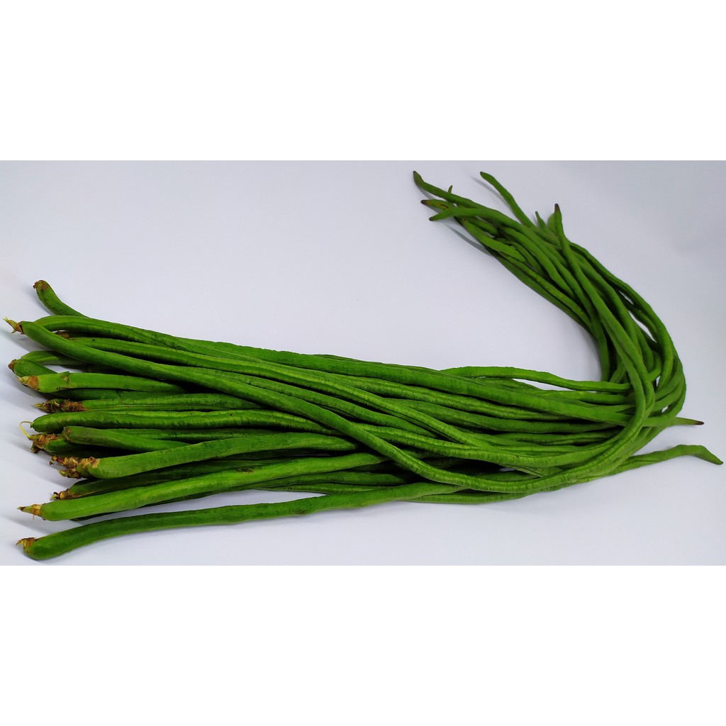

KACANG PANJANG SEGAR MURAH