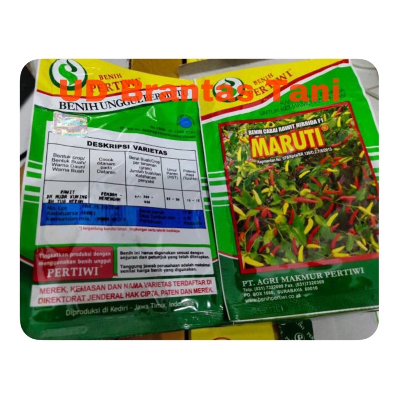 benih cabe rawit MARUTI F1 kemasan 10gr