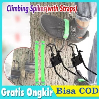 Tree climbing Alat bantu memanjat pohon with strap