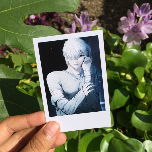 

Polaroid Biasa / Standar / No Glossy