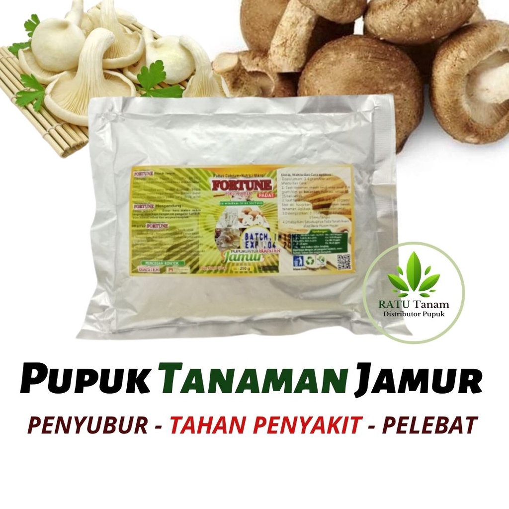 

Pupuk Booster Jamur, Pupuk Untuk Sayur Jamur Tiram - Jamur Enoki - Jamur Kuping Kancing