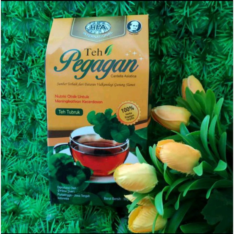 Teh tubruk pegagan HPA untuk nutrisi otak