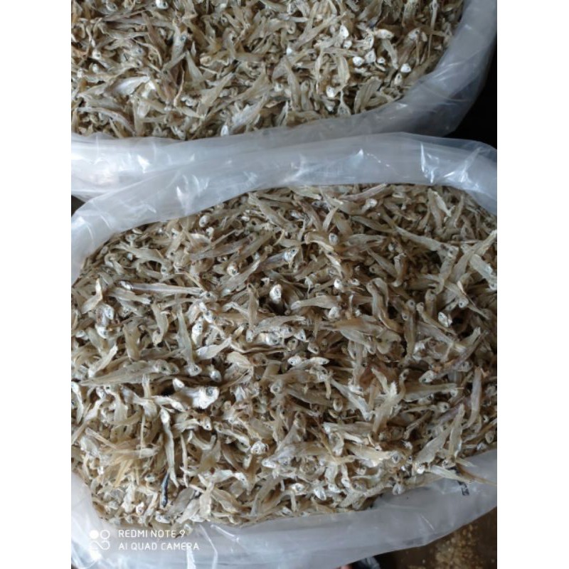 

Teri Putih Sibolga 250 gram