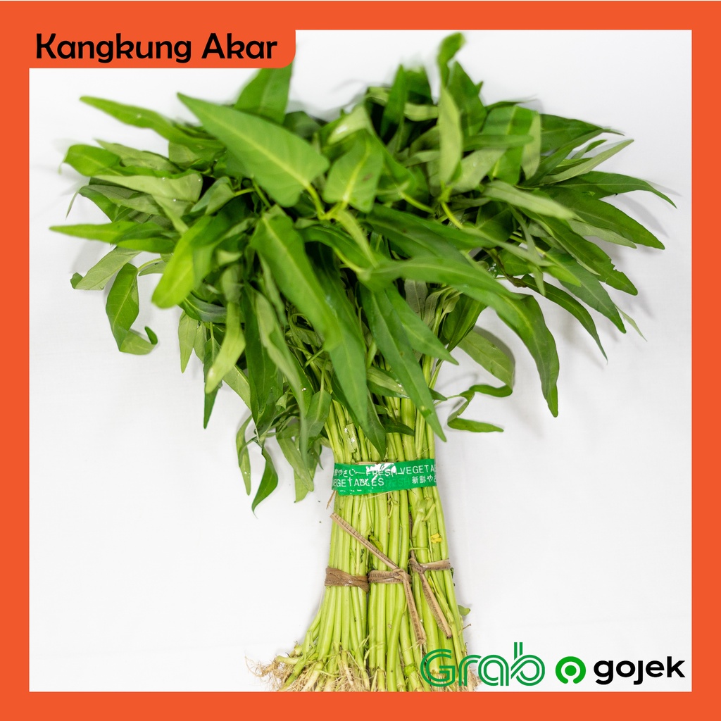 

Kangkung Akar 1 gabung (10 iket)