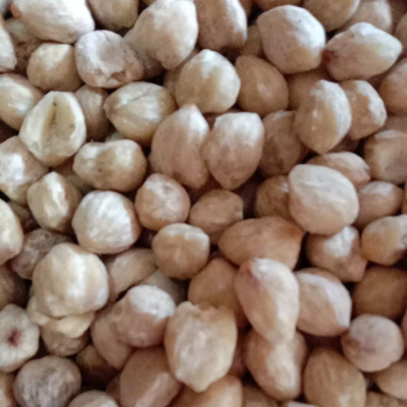 

kemiri asli medan 250g