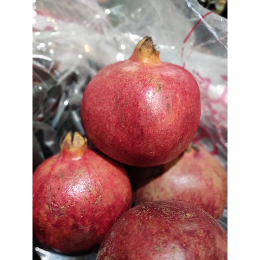 

Delima Buah Segar Bandung