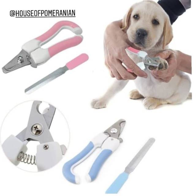 Gunting kuku anjing hewan kucing tupai kelinci. Dog cat nail scissor trimmer