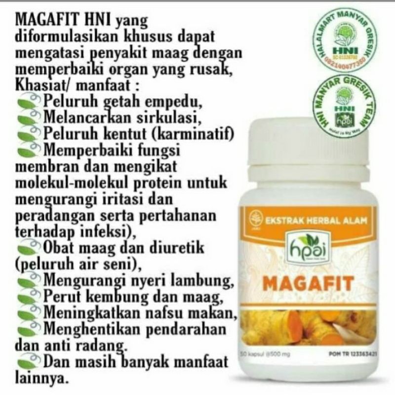 Obat Herbal Mah Maag Asam Lambung Tinggi Akut Kronis Nyeri Kembung Tambah Nafsu Makan Hpai Magafit Indonesia