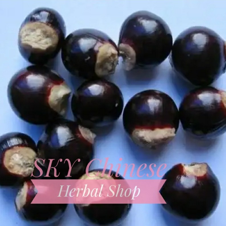 

(100 GRAM) Biji Longan / Lengkeng Seed Seeds / Long Yan He