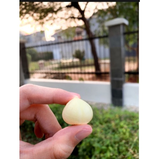 bawang putih lanang tunggal kupas 1kg