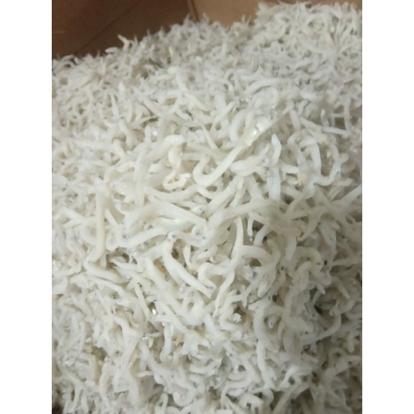 

Teri Medan