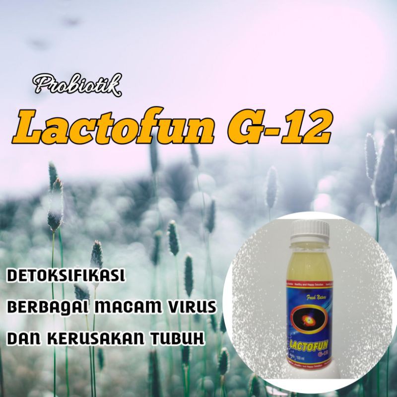 Lactofun G12/ Herbal Alami Untuk Imunitas dan kesehatan Tubuh/ Herbal alami