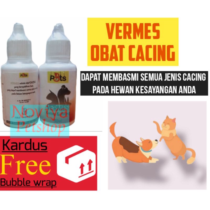 Vermes obat cacing kucing anjing