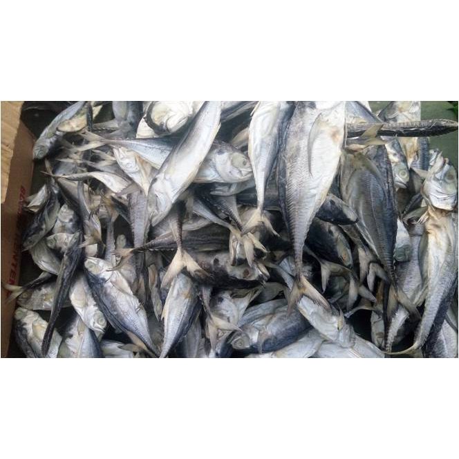 

Ikan Asin Cincaru Bulat ( @ 500 Gr ).