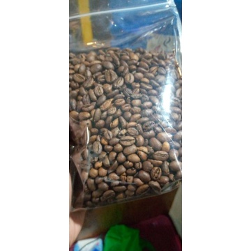 

robusta bengkulu