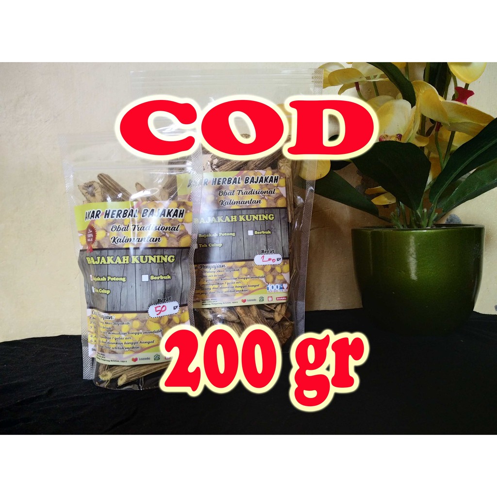 

Akar Kayu bajakah Kuning Original Asli Kalimantan 200gr