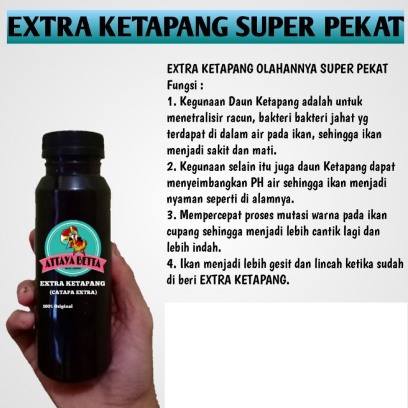 

EXTRA DAUN KETAPANG SUPER PEKAT