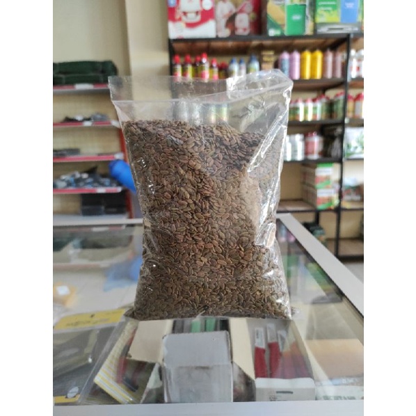 Biji Sengon Laut bibit albasia Benih sengon 1 Kg