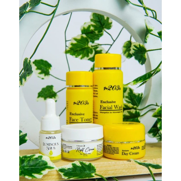 SKINCARE N203R PAKET ULTIMATE FLEK / CREAM FLEK