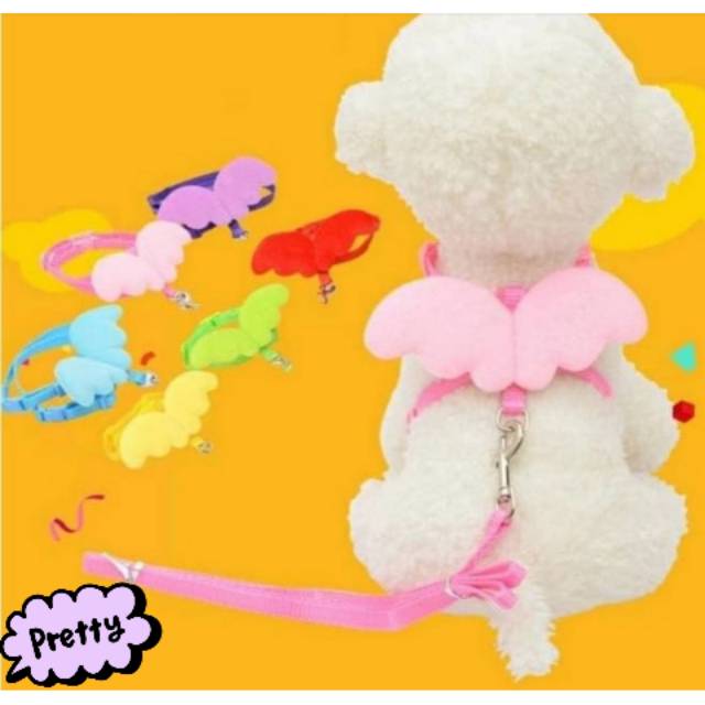 Tali tuntun anjing,  tali anjing